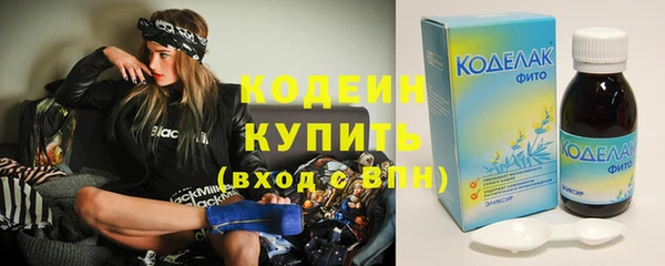 индика Балабаново