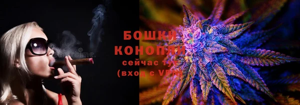 индика Балабаново