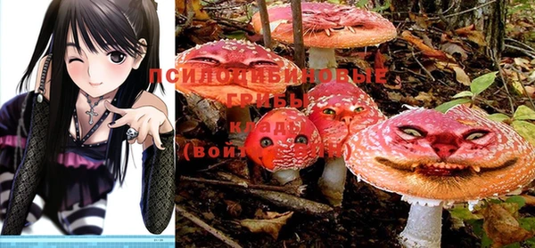 mdma Осташков