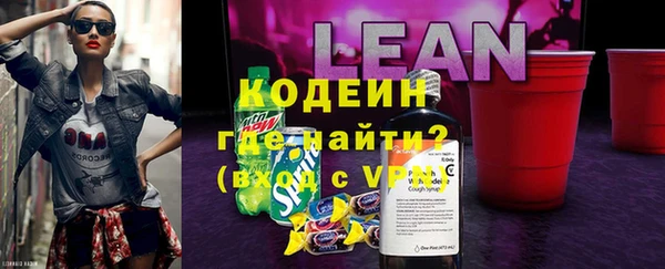 индика Балабаново