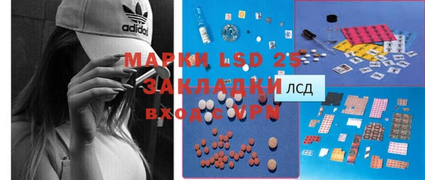 индика Балабаново