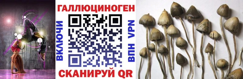 Псилоцибиновые грибы прущие грибы  сколько стоит  Заволжск 
